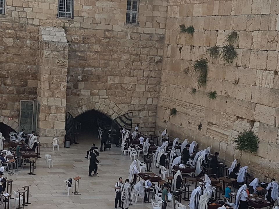Photo of Blessed are the meek...' Bringing the Bible to life in the Holy Land by Smitha Aji