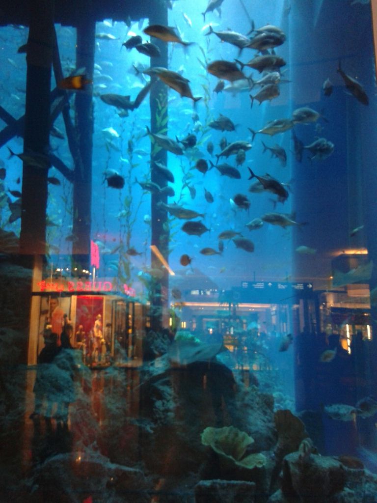 Photo of Exciting Things to do in Dubai in the Weekend 12/28 by Smitha Aji