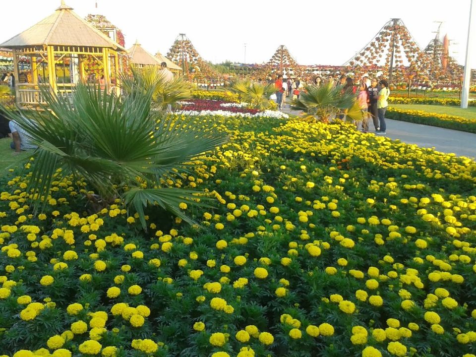Photo of Exciting Things to do in Dubai in the Weekend 25/28 by Smitha Aji