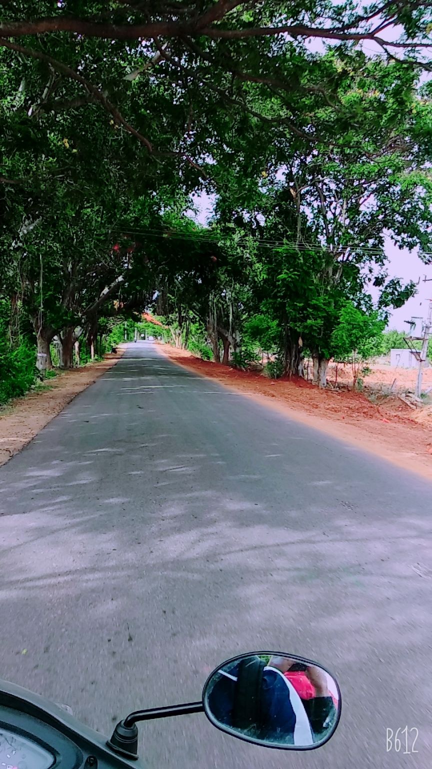 Photo of Karnataka by Shashwati Dey