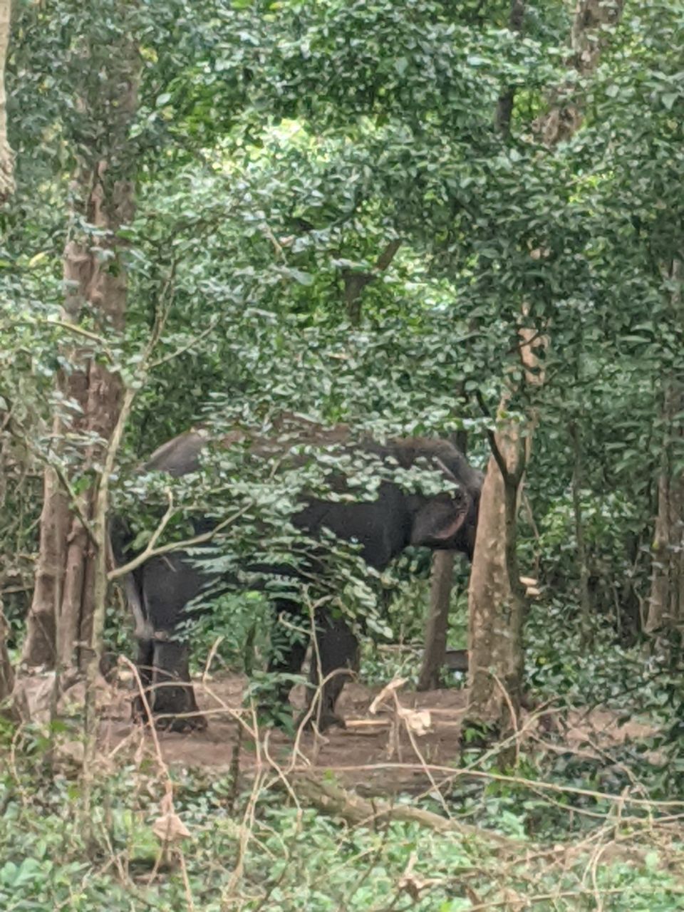 Photo of DHONI FALLS & TREK by itshussainguru