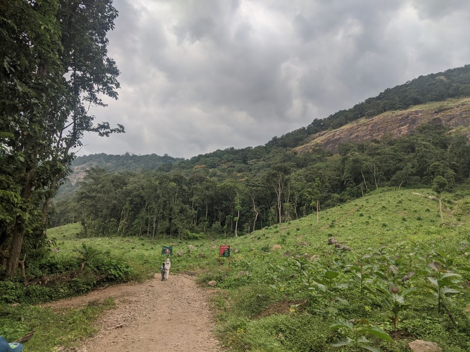 Photo of DHONI FALLS & TREK by itshussainguru