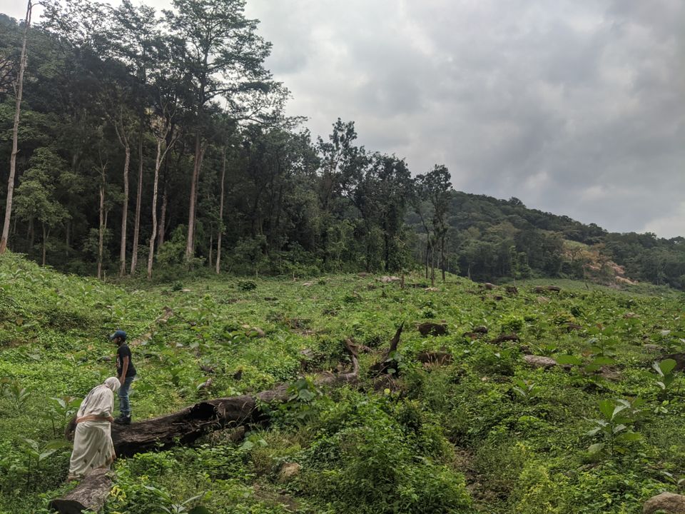 Photo of DHONI FALLS & TREK by itshussainguru