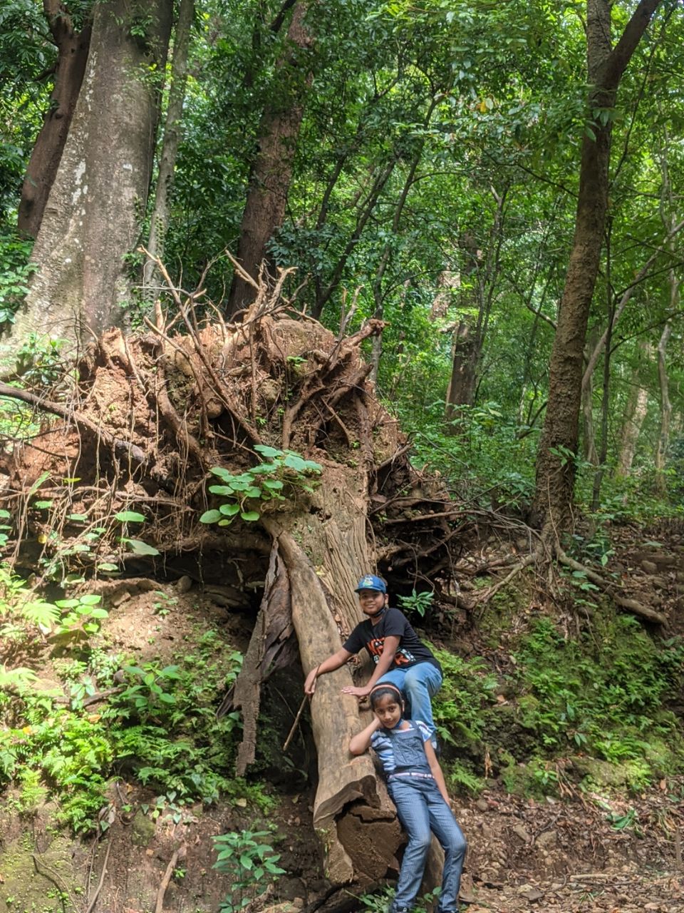 Photo of DHONI FALLS & TREK by itshussainguru