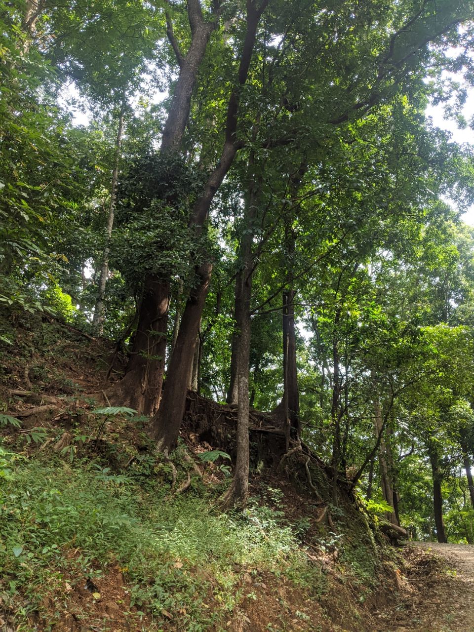 Photo of DHONI FALLS & TREK by itshussainguru