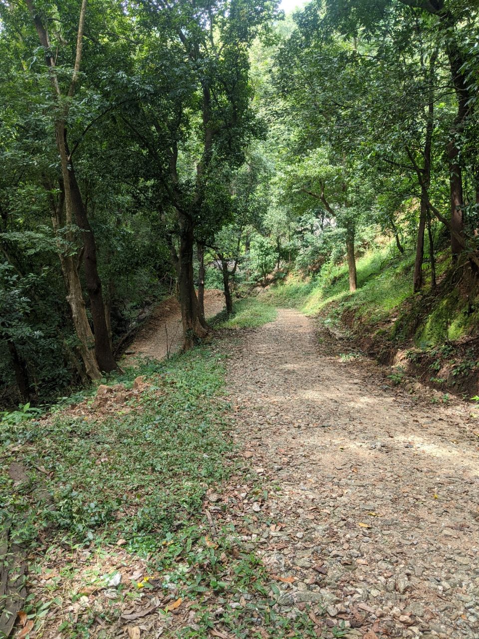 Photo of DHONI FALLS & TREK by itshussainguru
