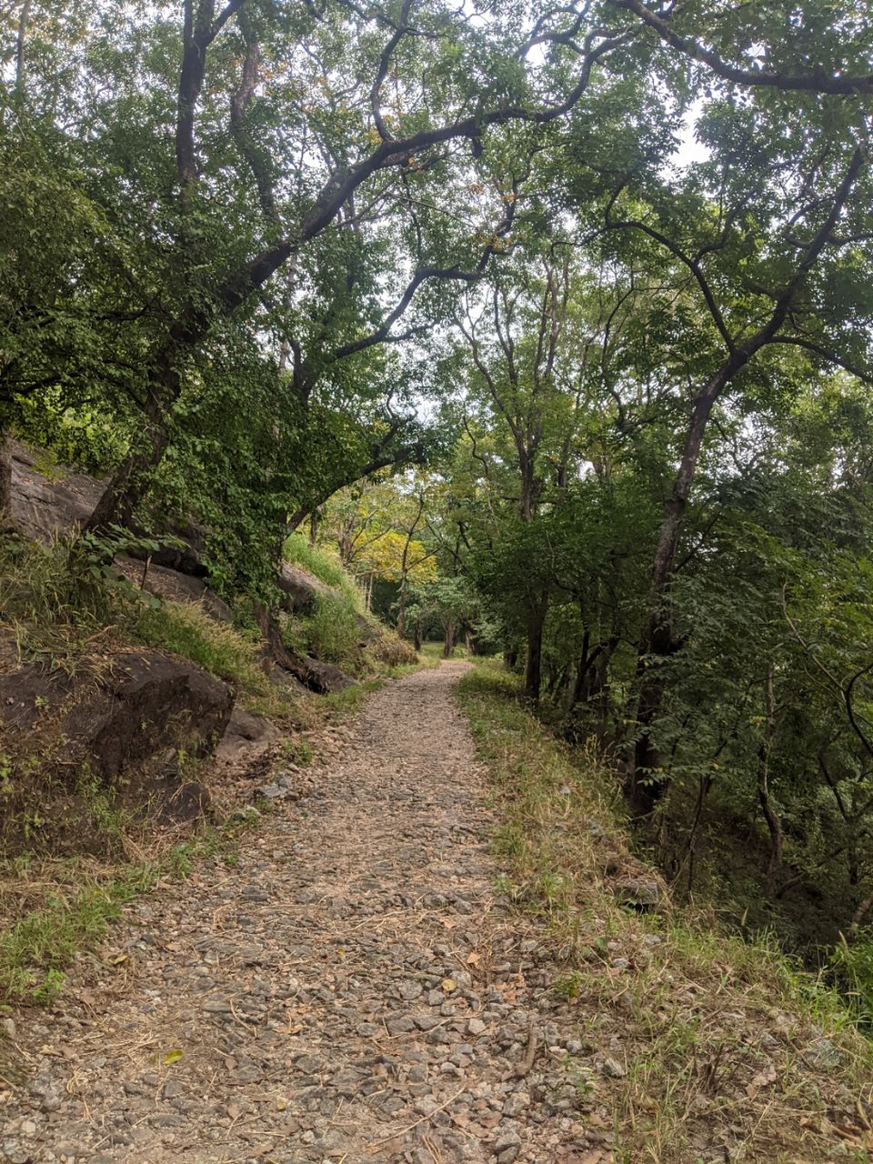 Photo of DHONI FALLS & TREK by itshussainguru