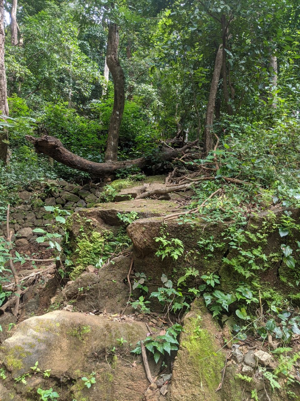 Photo of DHONI FALLS & TREK by itshussainguru