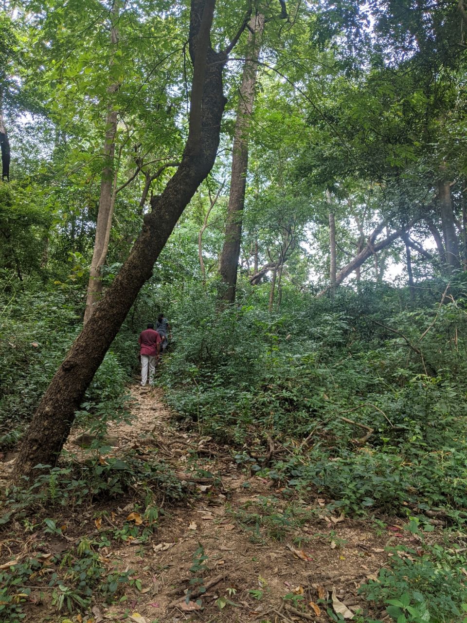 Photo of DHONI FALLS & TREK by itshussainguru