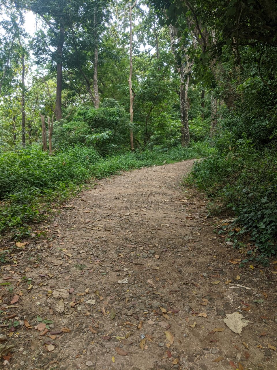 Photo of DHONI FALLS & TREK by itshussainguru