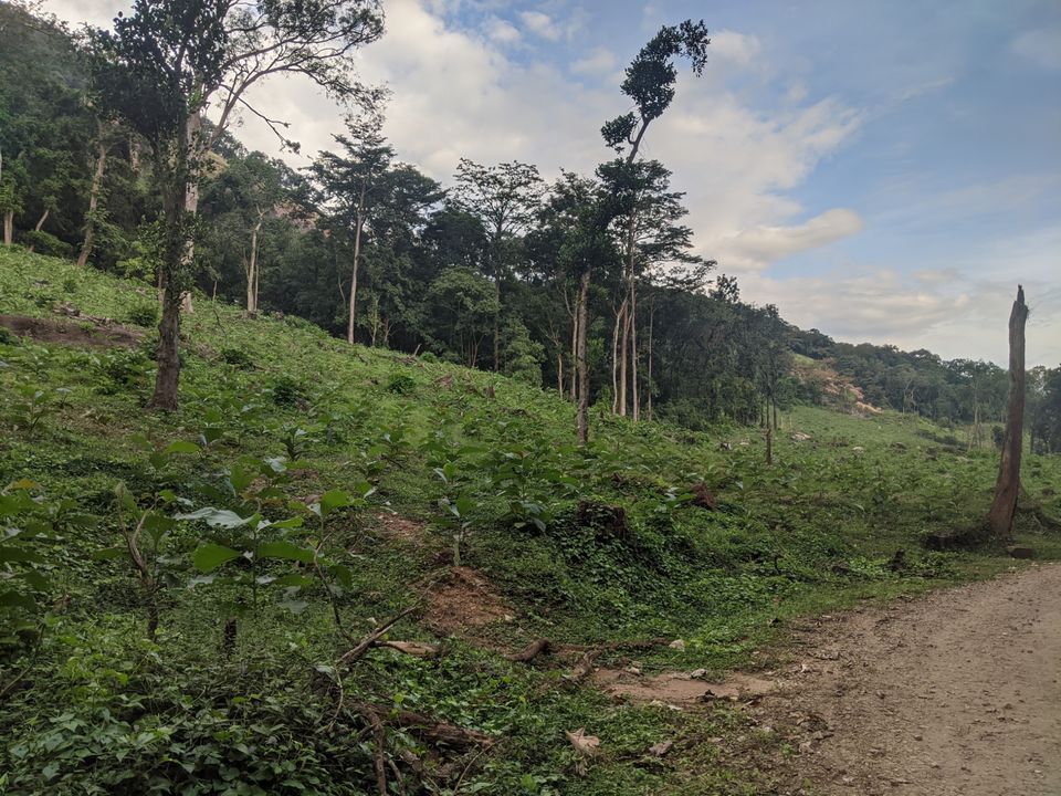 Photo of DHONI FALLS & TREK by itshussainguru