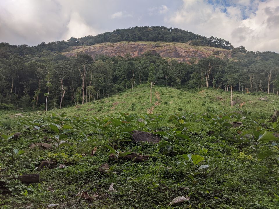 Photo of DHONI FALLS & TREK by itshussainguru