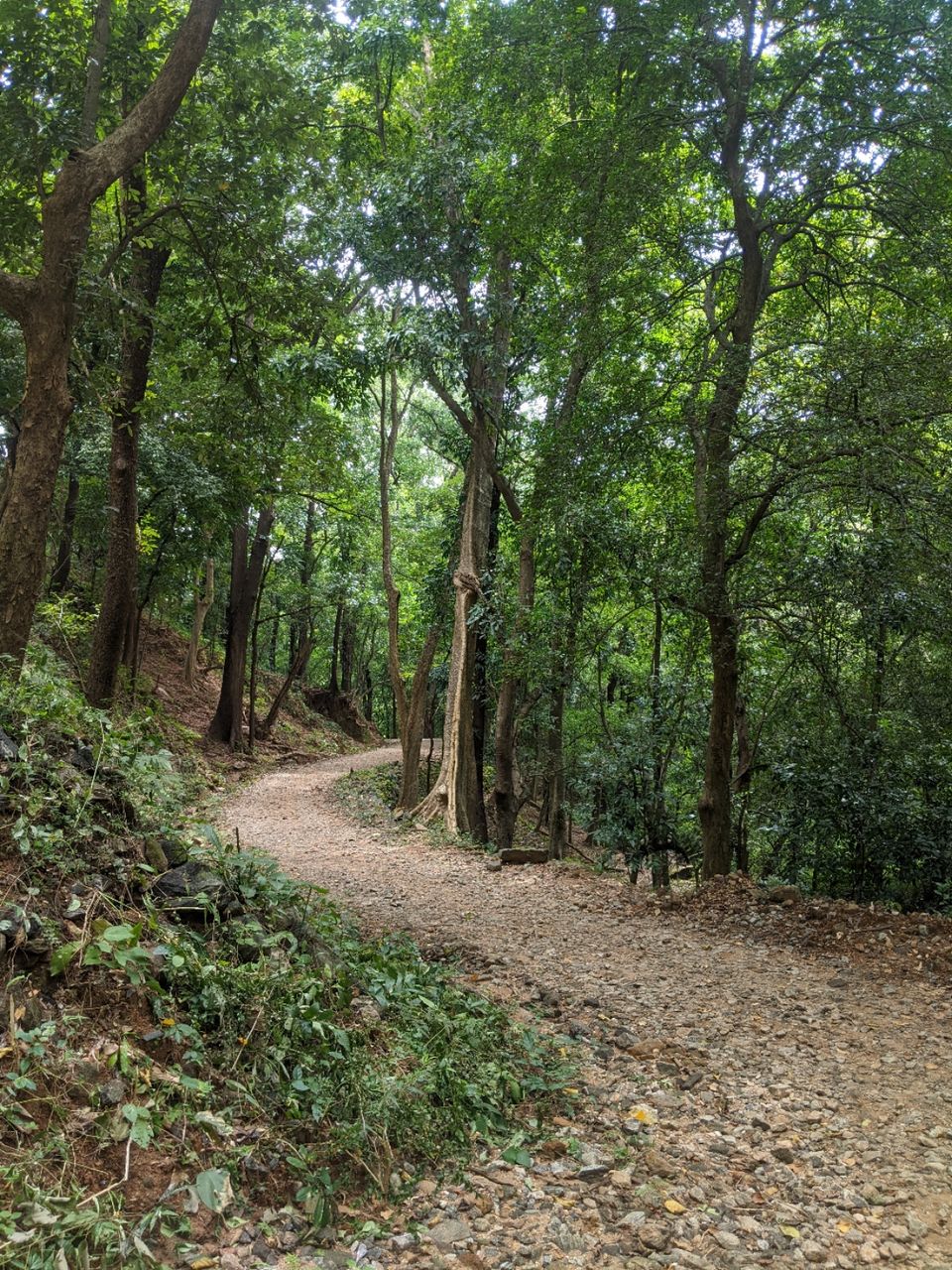 Photo of DHONI FALLS & TREK by itshussainguru
