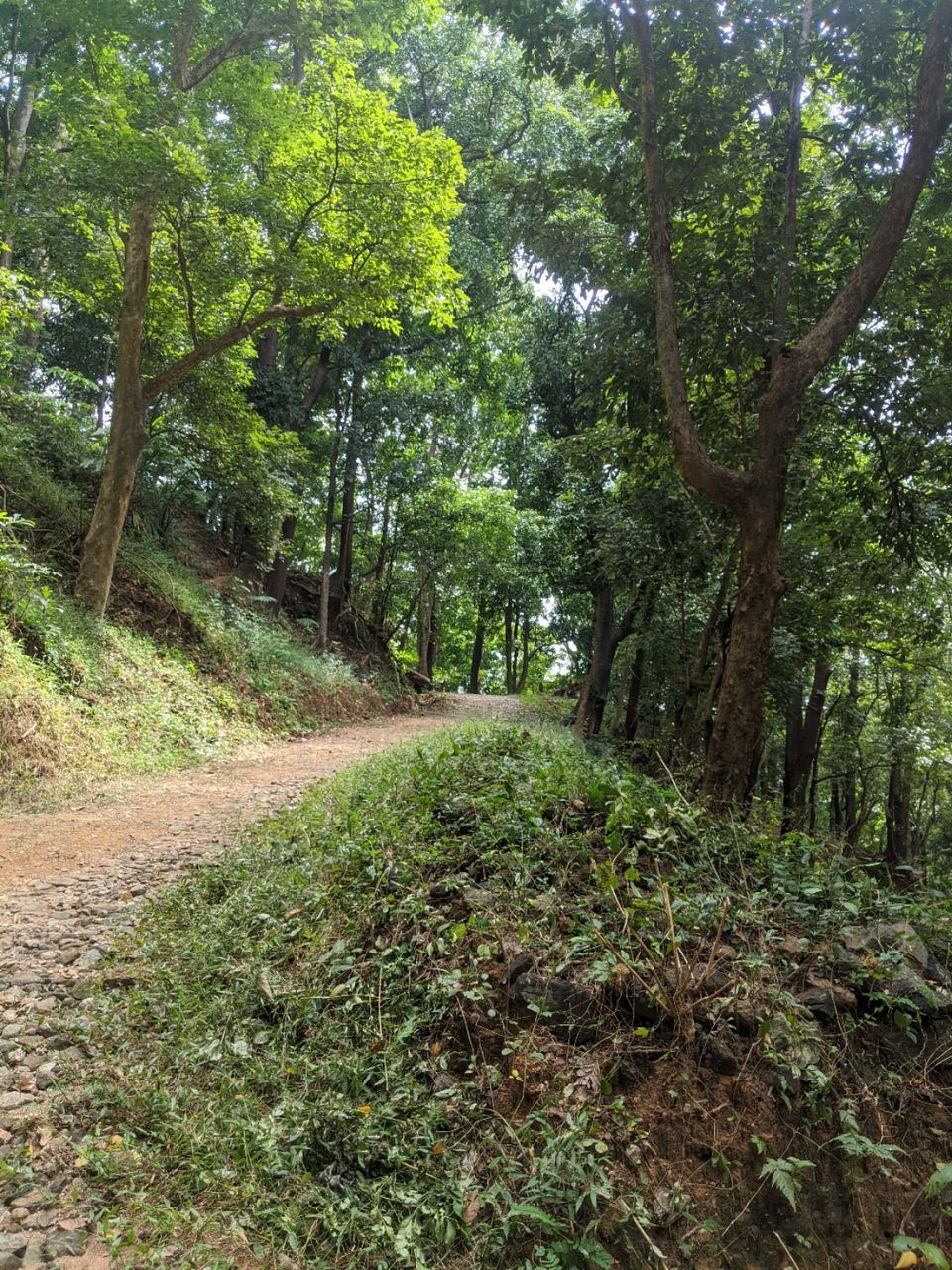 Photo of DHONI FALLS & TREK by itshussainguru