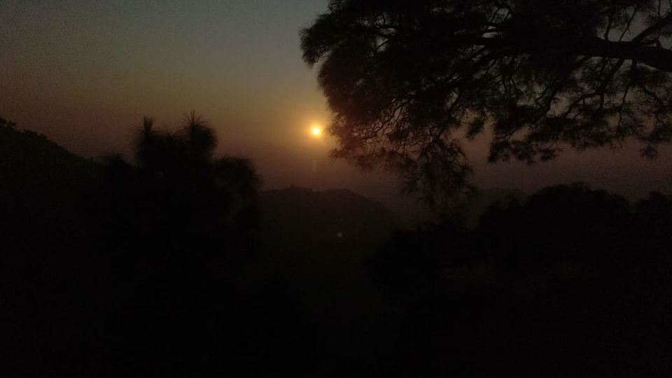 Photo of Banikhet, Himachal Pradesh, India by Nikhil Ramdev