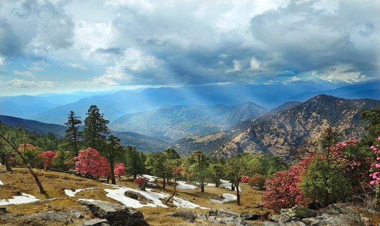 Photo of Chopta Valley- Beauty of Mother Earth 1/2 by Shriya Tiwari