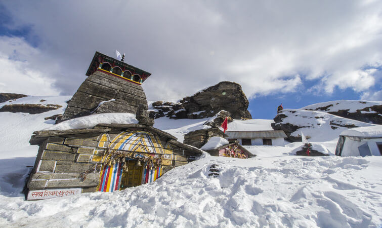 Photo of Chopta Valley- Beauty of Mother Earth 2/2 by Shriya Tiwari