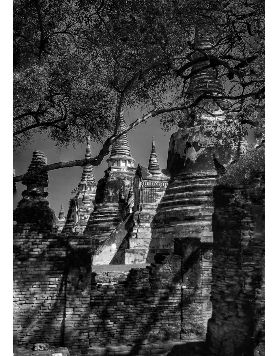 Photo of Ayutthaya Historical Park By Namrata Vedi