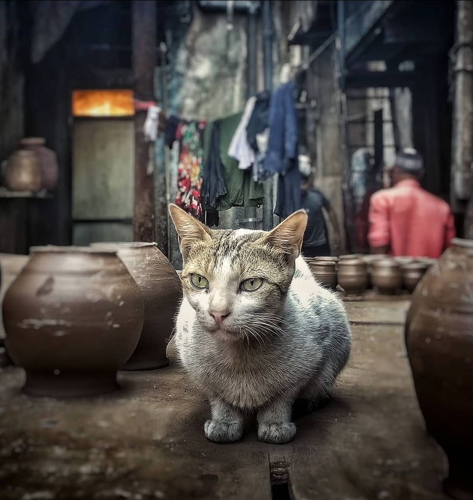 Photo of This Potters Colony in Mumbai is a Photographer's Paradise. Here's Why! 12/26 by Namrata Vedi