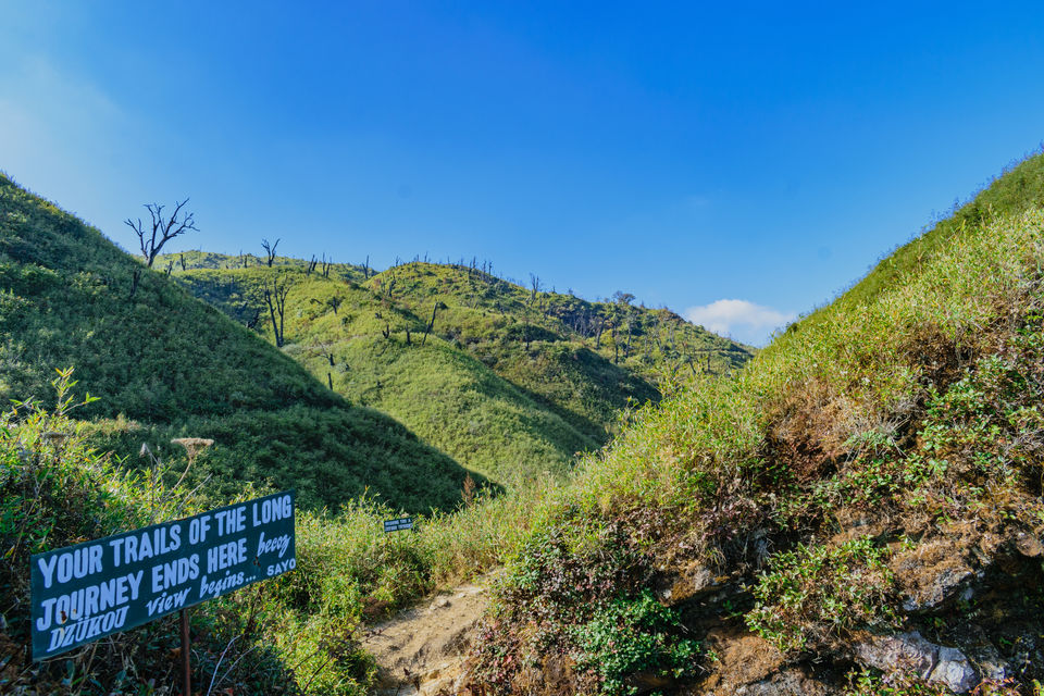 Photo of Dzukou Valley, India by Adarsh