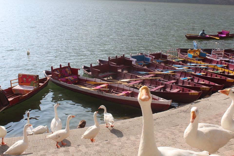 Photo of Bhimtal, Uttarakhand, India by Aniket dixit