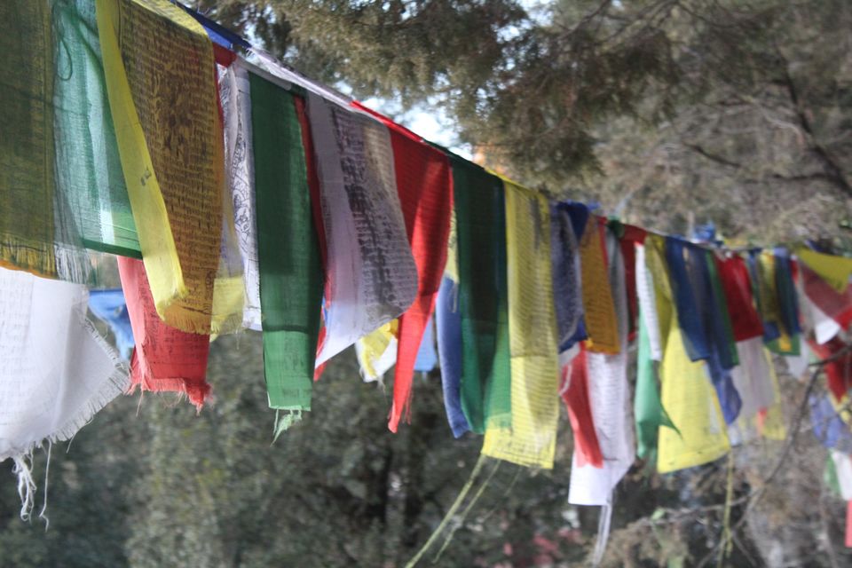 Photo of Low on budget ? Travel nainital ! #budgettrip #nainital by Aniket dixit