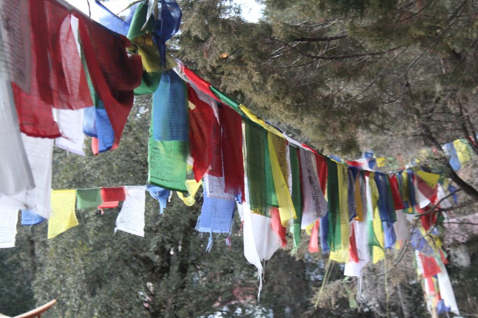 Photo of Low on budget ? Travel nainital ! #budgettrip #nainital by Aniket dixit