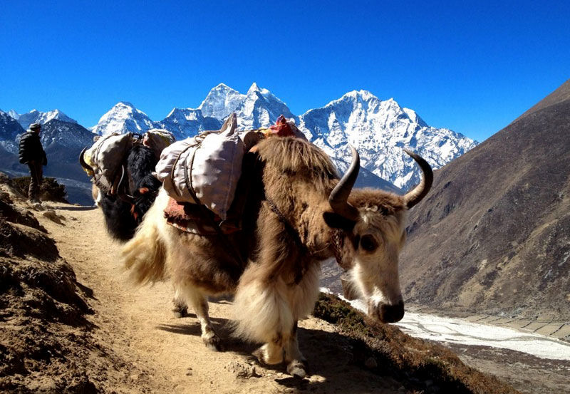 Photo of Popular Trekking Trail : Everest 3/4 by Himalayan Scenery Treks