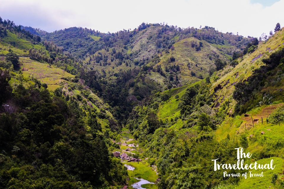 Photo of Serene Ooty by The Travellectual