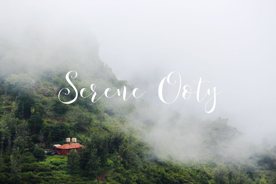Photo of Serene Ooty by The Travellectual