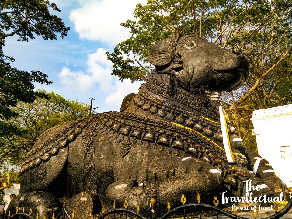 Photo of Mysore - Best Weekend Destination from Bangalore by The Travellectual