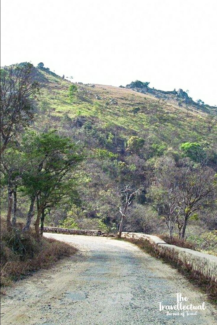 Photo of Blissful Gopalaswamy Hills by The Travellectual