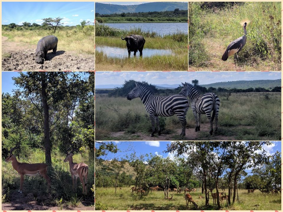 Photo of Adventures of a Solo Indian Traveler in Rwanda by Wanderfirst