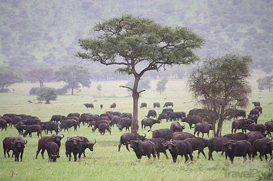 Photo of A Safari Across South Africa, Kenya & Tanzania 4/7 by Kinza Ben Ali