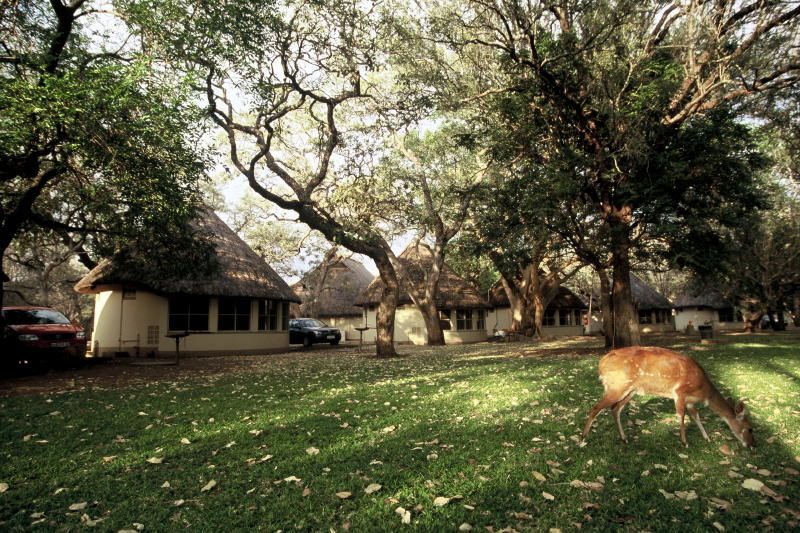 Photo of A Safari Across South Africa, Kenya & Tanzania 6/7 by Kinza Ben Ali