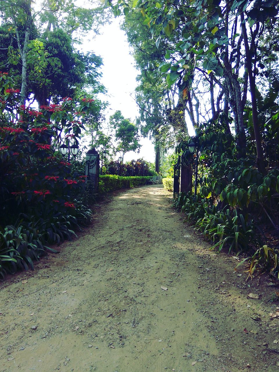 Photo of From the days of caffeinated air, starry paths, dreamy evenings & family warmth! Coorg! 2/47 by Swa-T