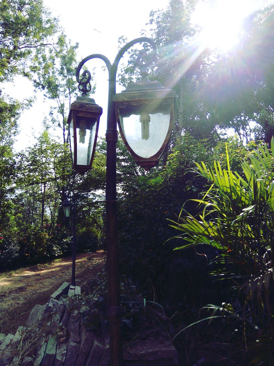 Photo of From the days of caffeinated air, starry paths, dreamy evenings & family warmth! Coorg! 4/47 by Swa-T