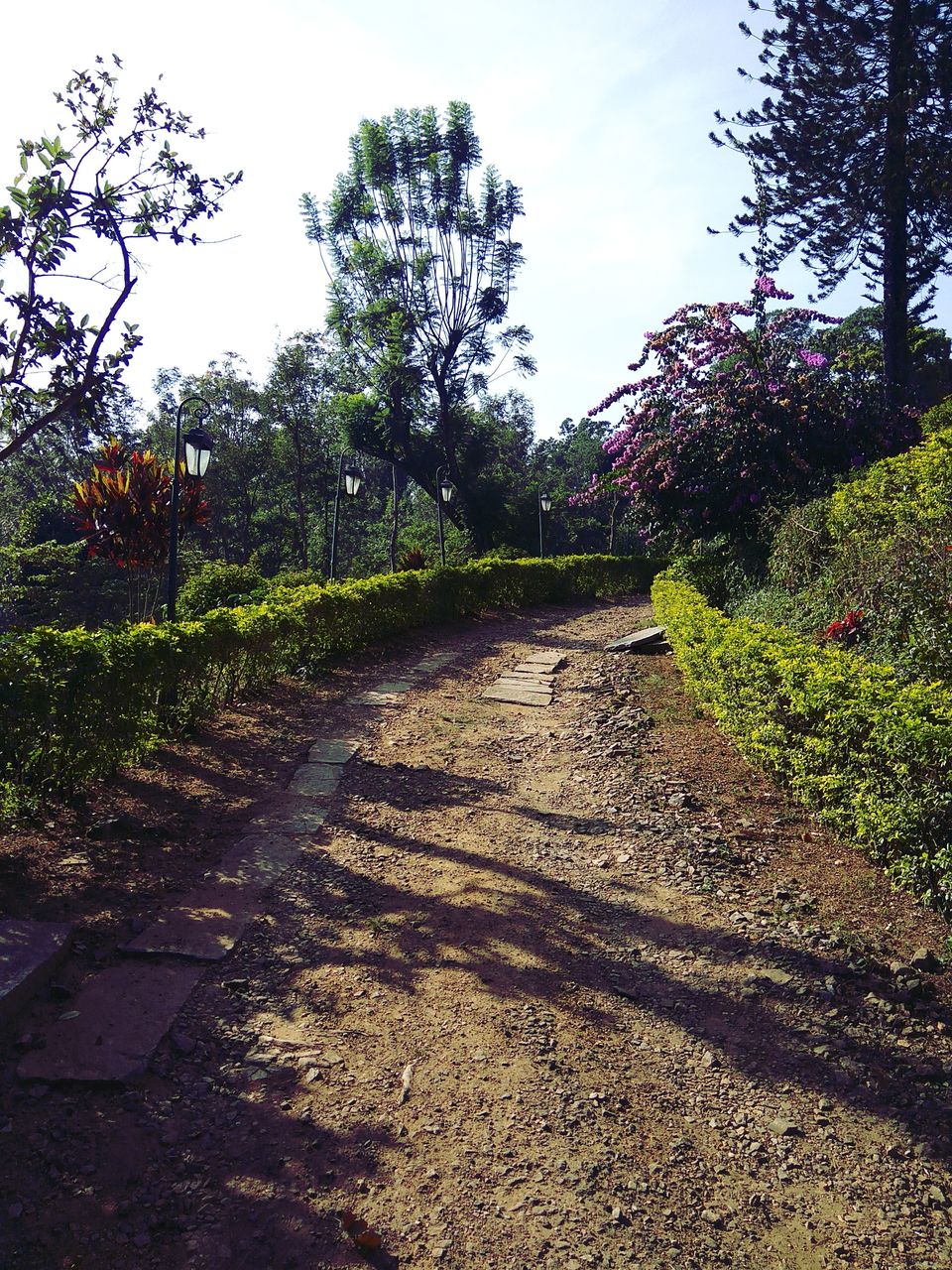 Photo of From the days of caffeinated air, starry paths, dreamy evenings & family warmth! Coorg! 5/47 by Swa-T