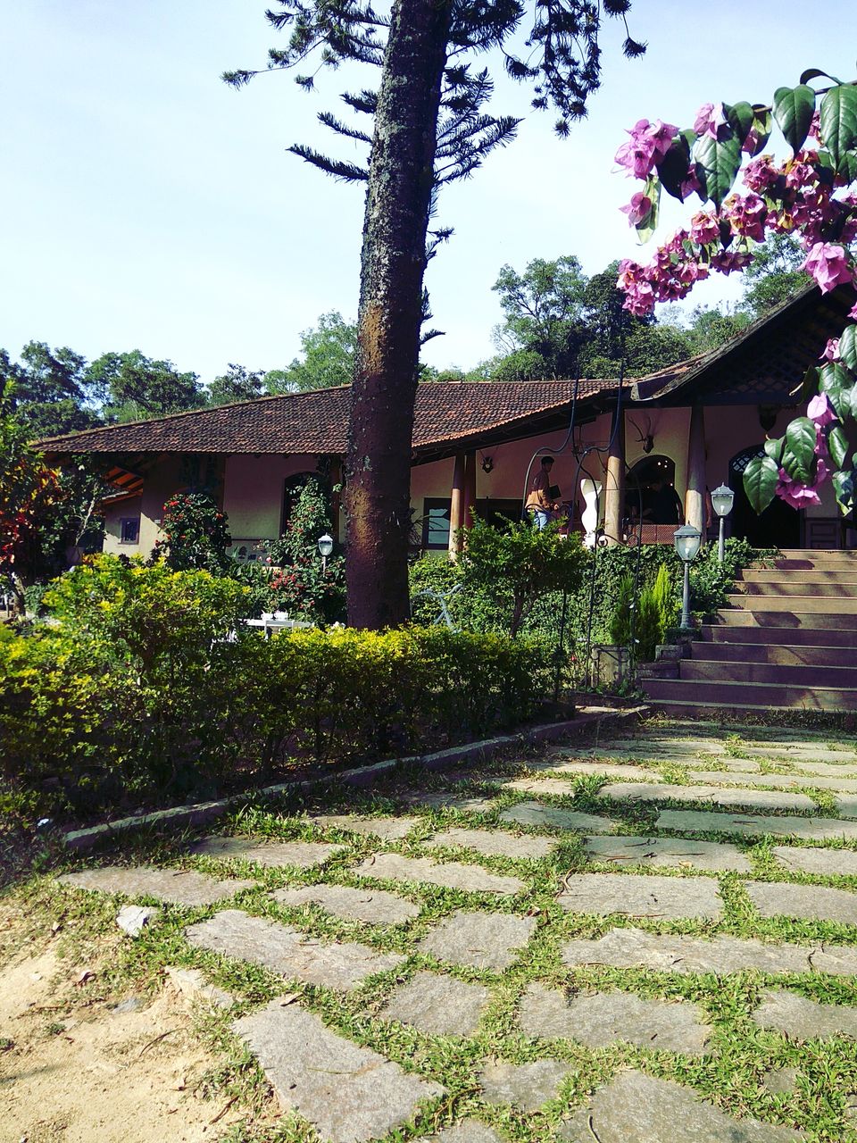 Photo of From the days of caffeinated air, starry paths, dreamy evenings & family warmth! Coorg! 6/47 by Swa-T