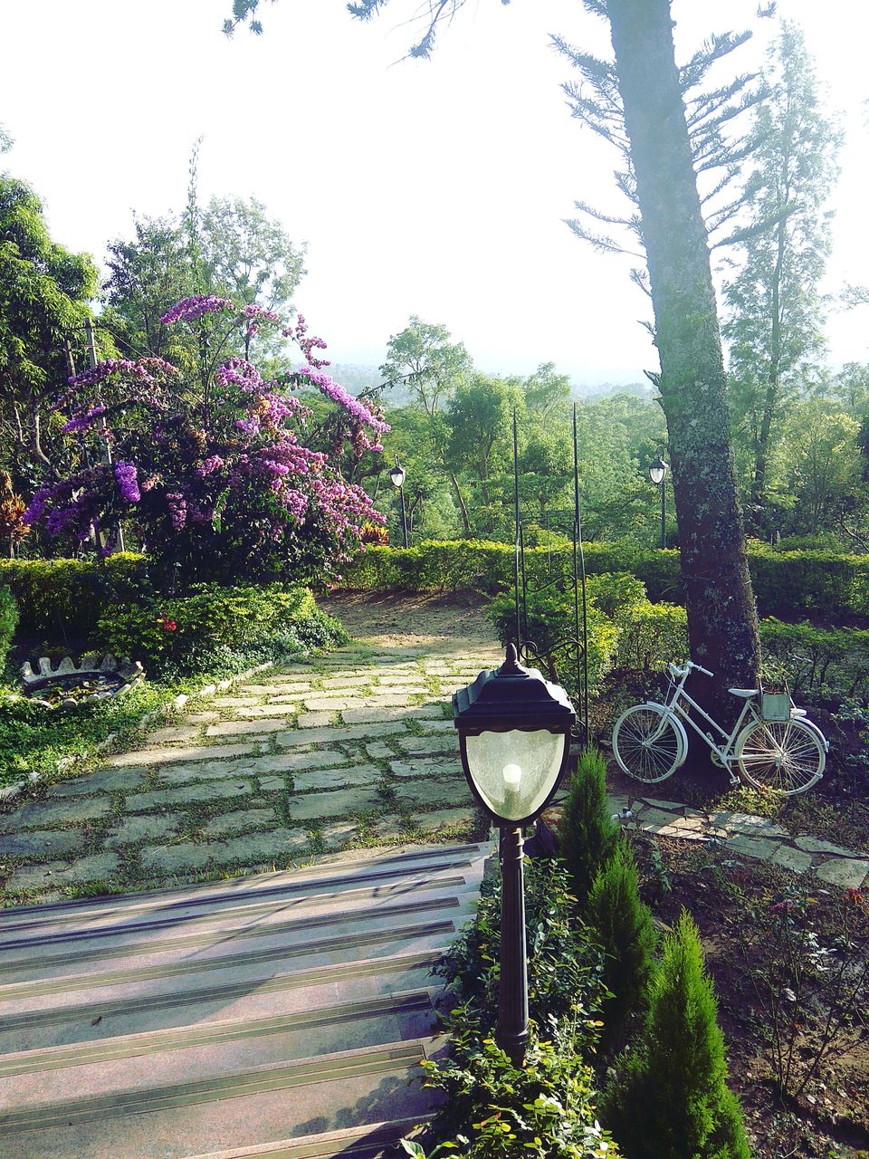 Photo of From the days of caffeinated air, starry paths, dreamy evenings & family warmth! Coorg! 10/47 by Swa-T