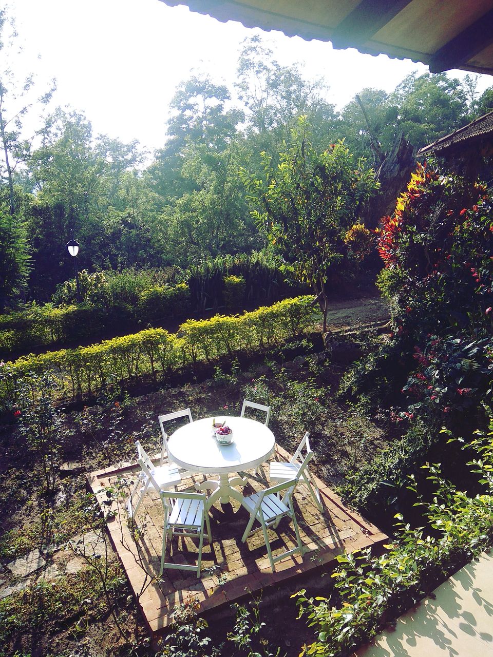 Photo of From the days of caffeinated air, starry paths, dreamy evenings & family warmth! Coorg! 11/47 by Swa-T