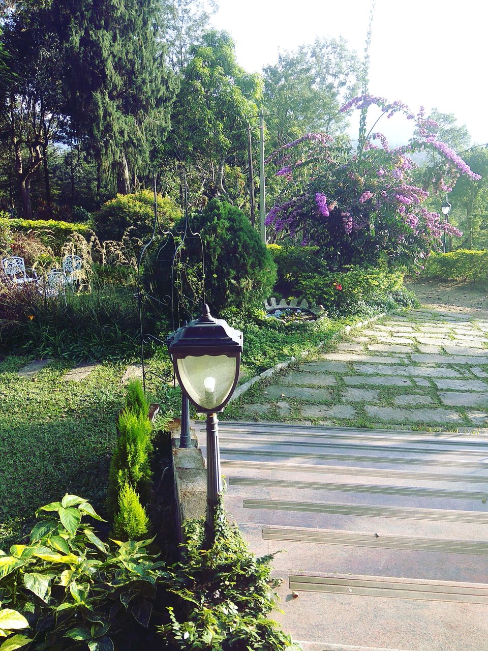 Photo of From the days of caffeinated air, starry paths, dreamy evenings & family warmth! Coorg! 12/47 by Swa-T