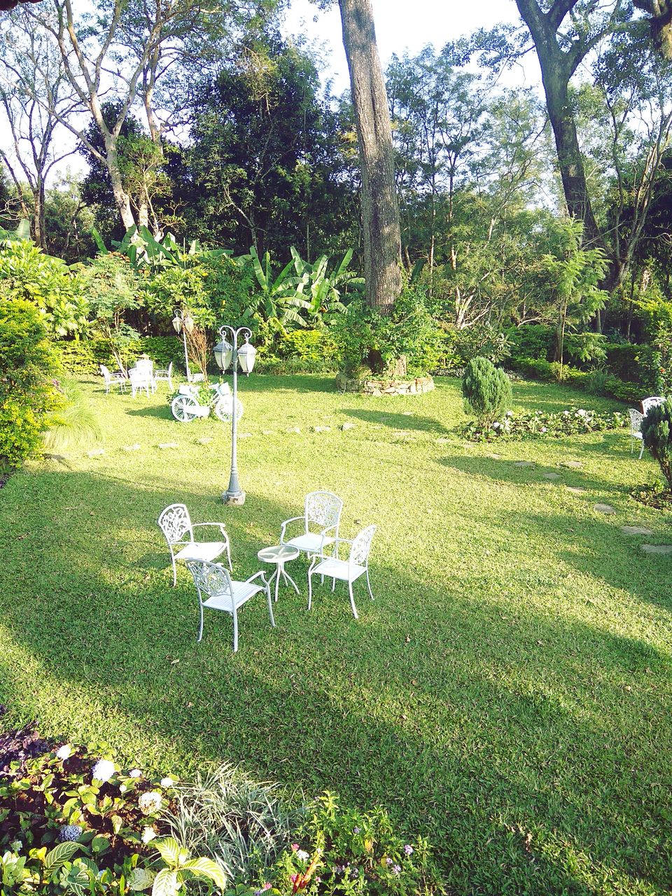 Photo of From the days of caffeinated air, starry paths, dreamy evenings & family warmth! Coorg! 13/47 by Swa-T