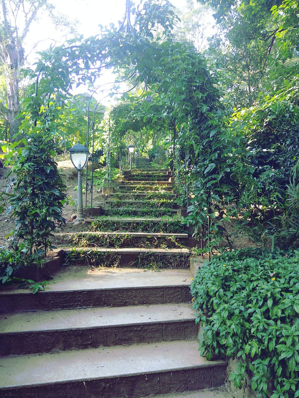 Photo of From the days of caffeinated air, starry paths, dreamy evenings & family warmth! Coorg! 15/47 by Swa-T