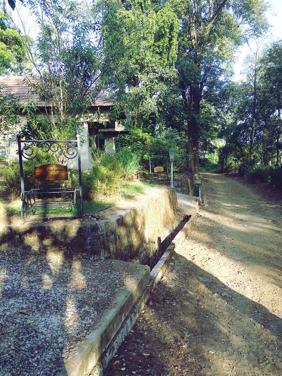 Photo of From the days of caffeinated air, starry paths, dreamy evenings & family warmth! Coorg! 16/47 by Swa-T