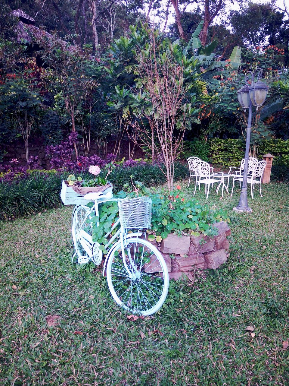 Photo of From the days of caffeinated air, starry paths, dreamy evenings & family warmth! Coorg! 25/47 by Swa-T