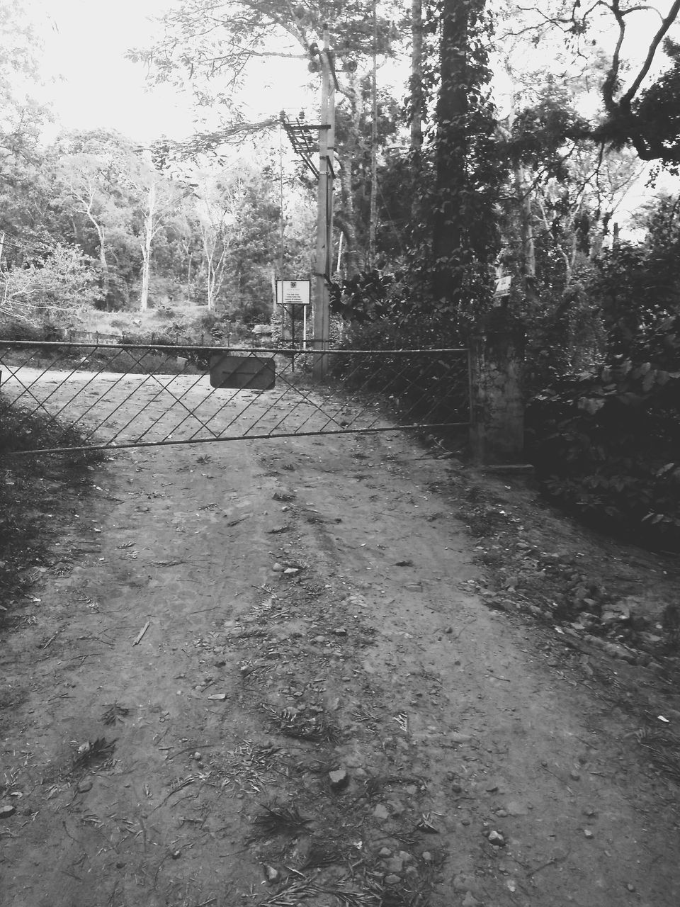 Photo of From the days of caffeinated air, starry paths, dreamy evenings & family warmth! Coorg! 37/47 by Swa-T
