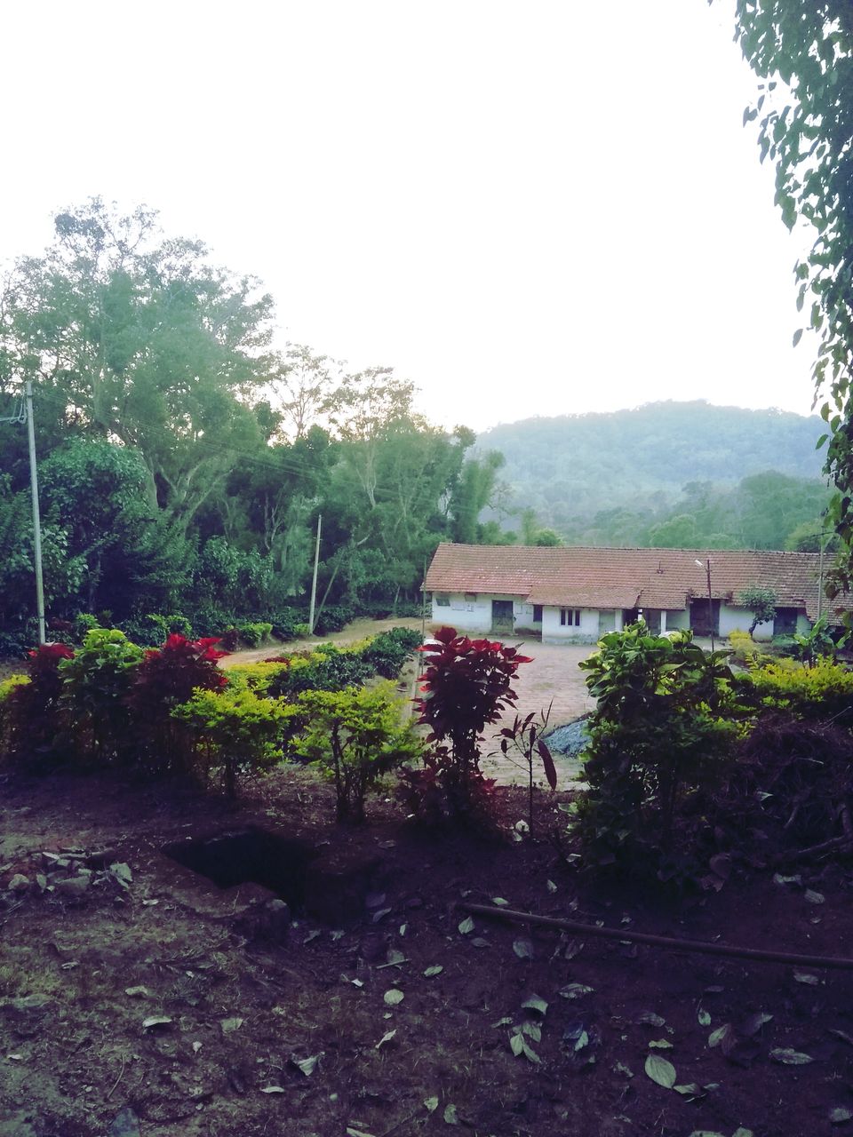 Photo of From the days of caffeinated air, starry paths, dreamy evenings & family warmth! Coorg! 38/47 by Swa-T