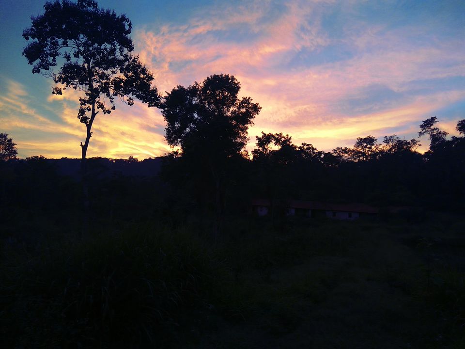 Photo of From the days of caffeinated air, starry paths, dreamy evenings & family warmth! Coorg! 40/47 by Swa-T