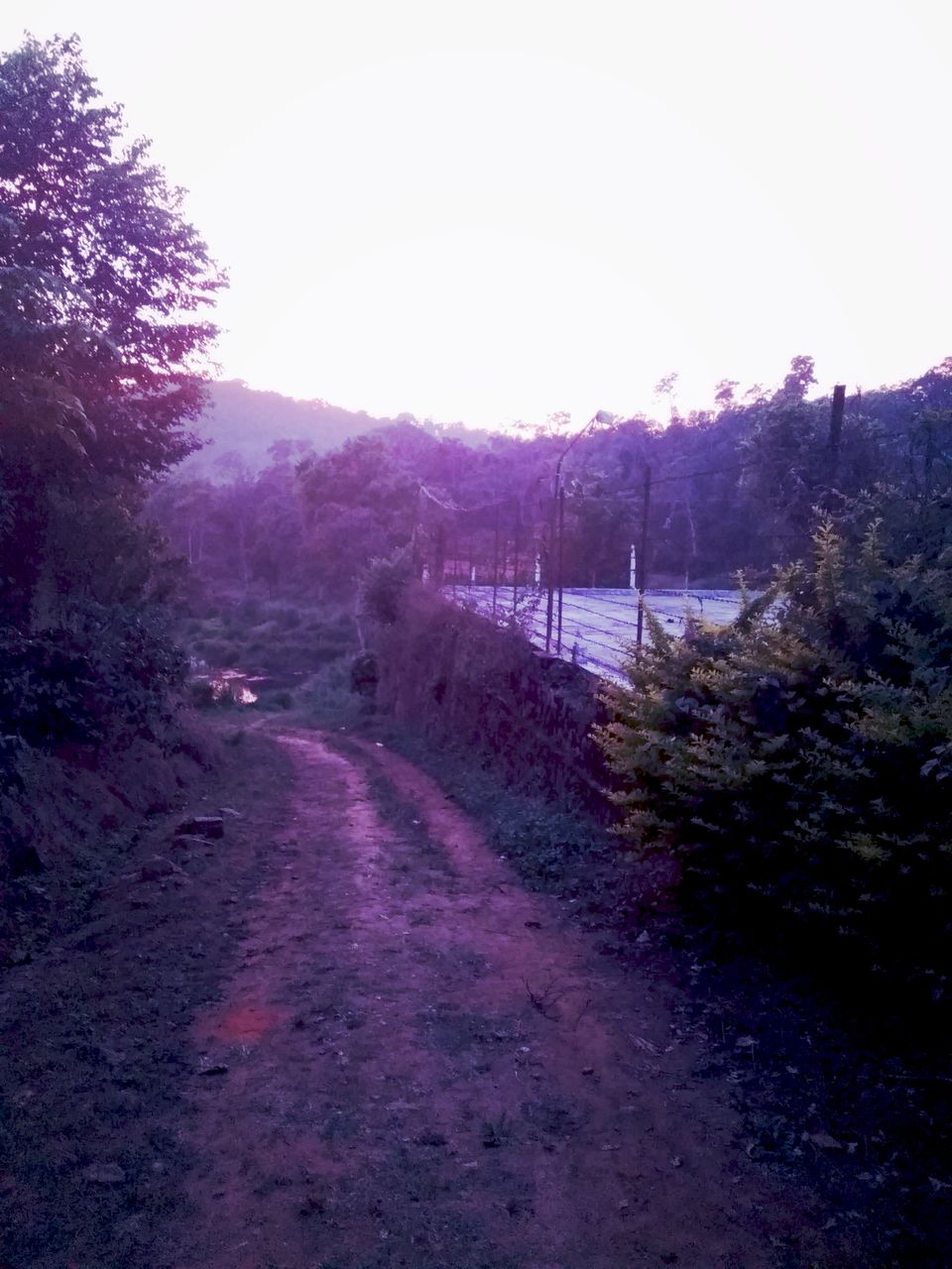 Photo of From the days of caffeinated air, starry paths, dreamy evenings & family warmth! Coorg! 41/47 by Swa-T